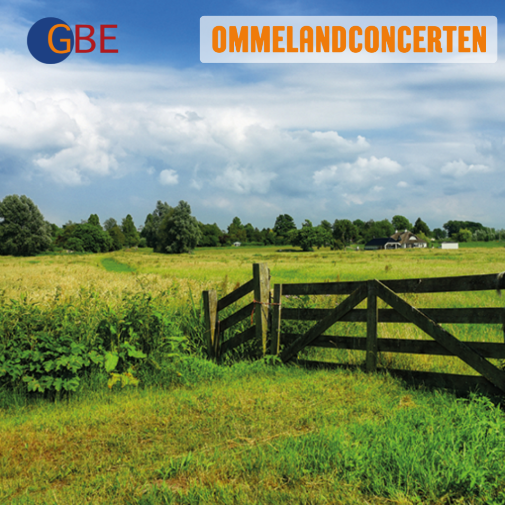 Deelnemers Ommelanconcerten